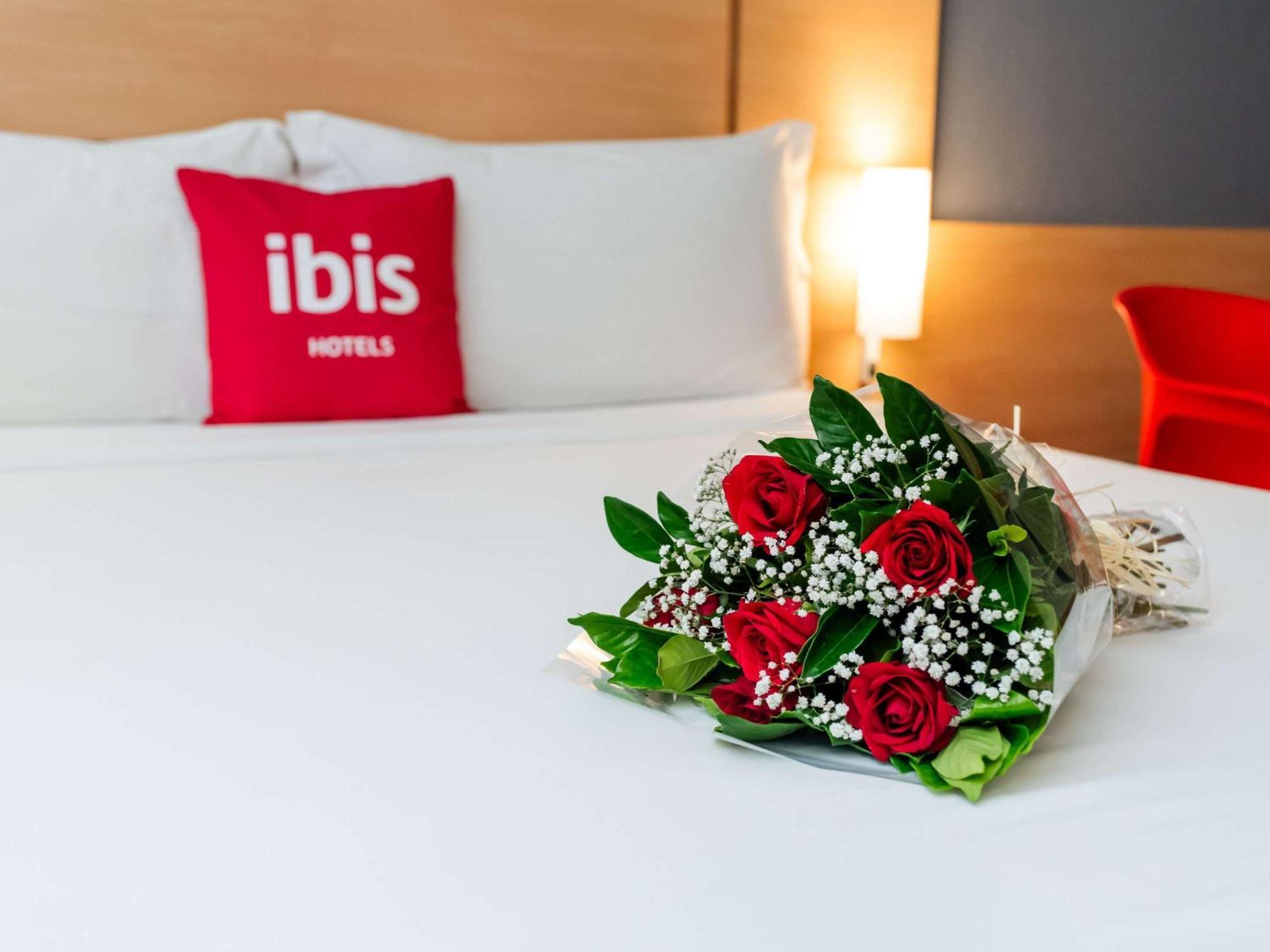 Ibis جوينفيل المظهر الخارجي الصورة